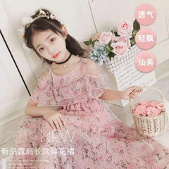 فستان بناتي 2020 فستان صيفي جديد شيفون زهري تنورة طويلة تنورة شاطئ تنورة أطفال على الطراز الغربي النسخة الكورية