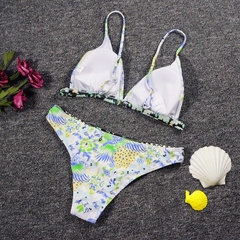 New split swimsuit European and American personality printed quick-drying bikini swimsuit