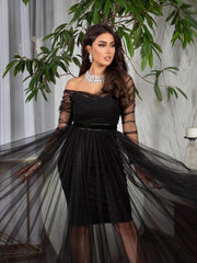 Black Elegant Elegant Mesh Waist Dress