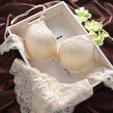 European and American Lace Ladies Underwear Bra Set