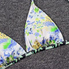 New split swimsuit European and American personality printed quick-drying bikini swimsuit