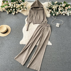 Autumn and winter European and American style minimalist solid color hooded top + waisted trousers casual two-piece set