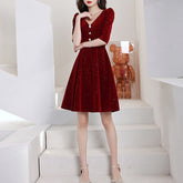 Ladies V-neck Sleeve Velvet Fashion Banquet Birthday Party Evening Dress LX476
