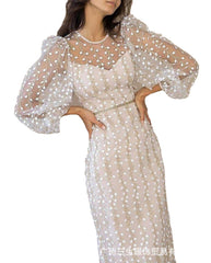 Ladylike Embroidered Perspective Sexy Mesh White Dress