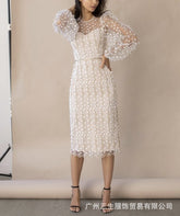 Ladylike Embroidered Perspective Sexy Mesh White Dress