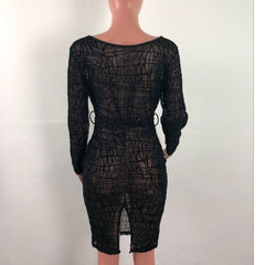 Plus Size 4xl Sexy Bodycon Dress Women V-neck Long Sleeve Dresses Ladies Night Club Party Mesh See Through Sheer Elegant