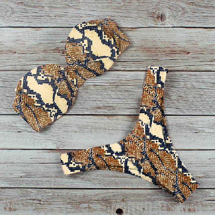 Push Up Bikini Swimwear Women Swimsuit New Leopard Brazilian Bikini Set Bathing Suit Female Summer Beach Wear Biquini