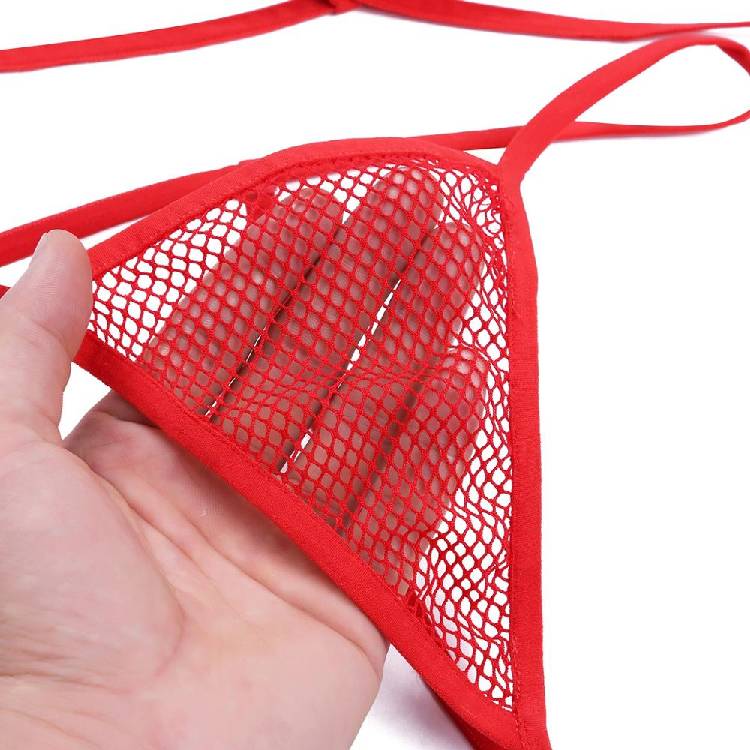 Women Lingerie Fishnet See through Micro Mini Bikini Bra Top & G String Thong Swimming Suit Adult Female Swimwear