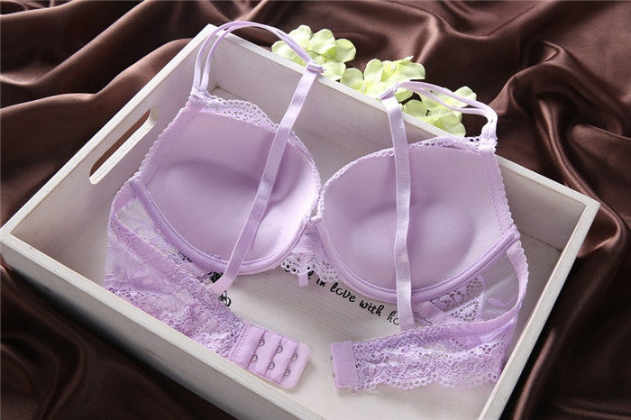European and American Lace Ladies Underwear Bra Set