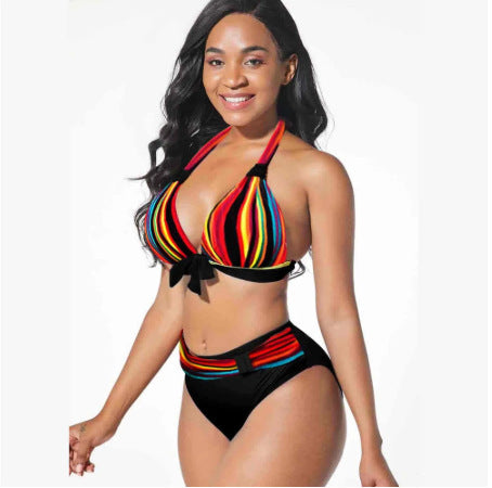 New foreign trade cross-border Europe and America sexy plus size printing split bikini swimsuit