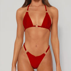 Sheng Baijia 2023 cross-border  jewelry swimsuit sexy  nylon glossy fabric two-piece split swimsuit
