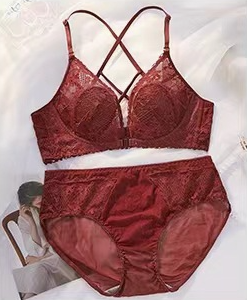 Front buckle underwear women's  rabbit ears big breasts show small summer small breasts gather breasts sexy  desire suit